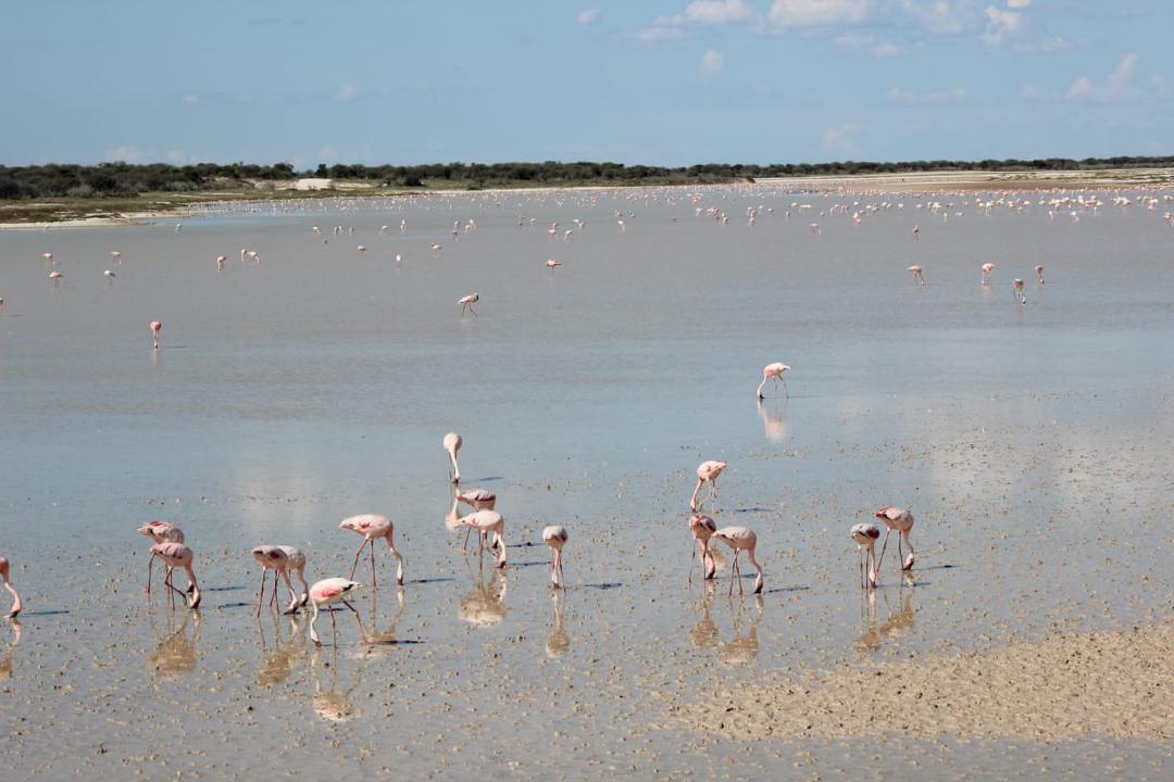Namibia destination view
