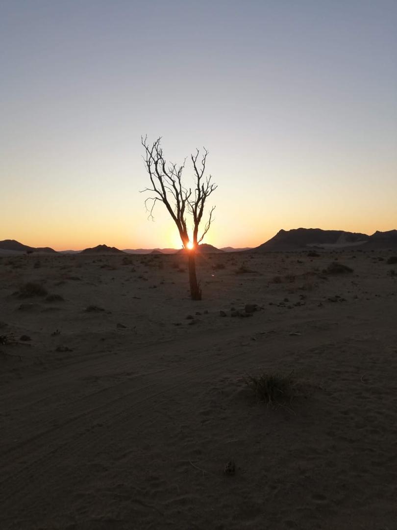 Guinea Fowl Tours and Safaris Namibia tour