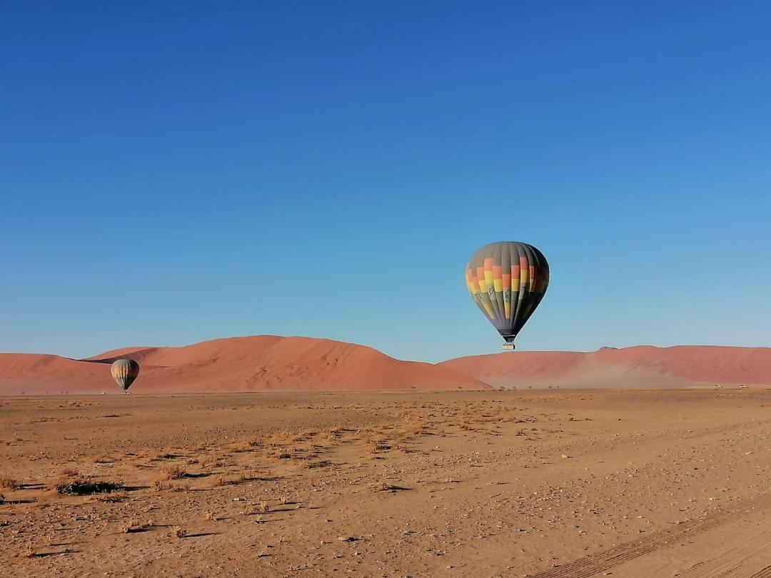 Southern Desert, Coast and Etosha Route