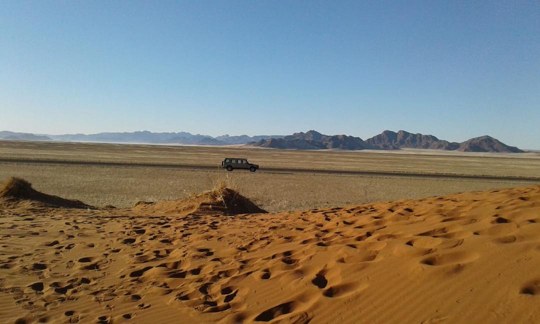 Guinea Fowl Tours and Safaris travel photo