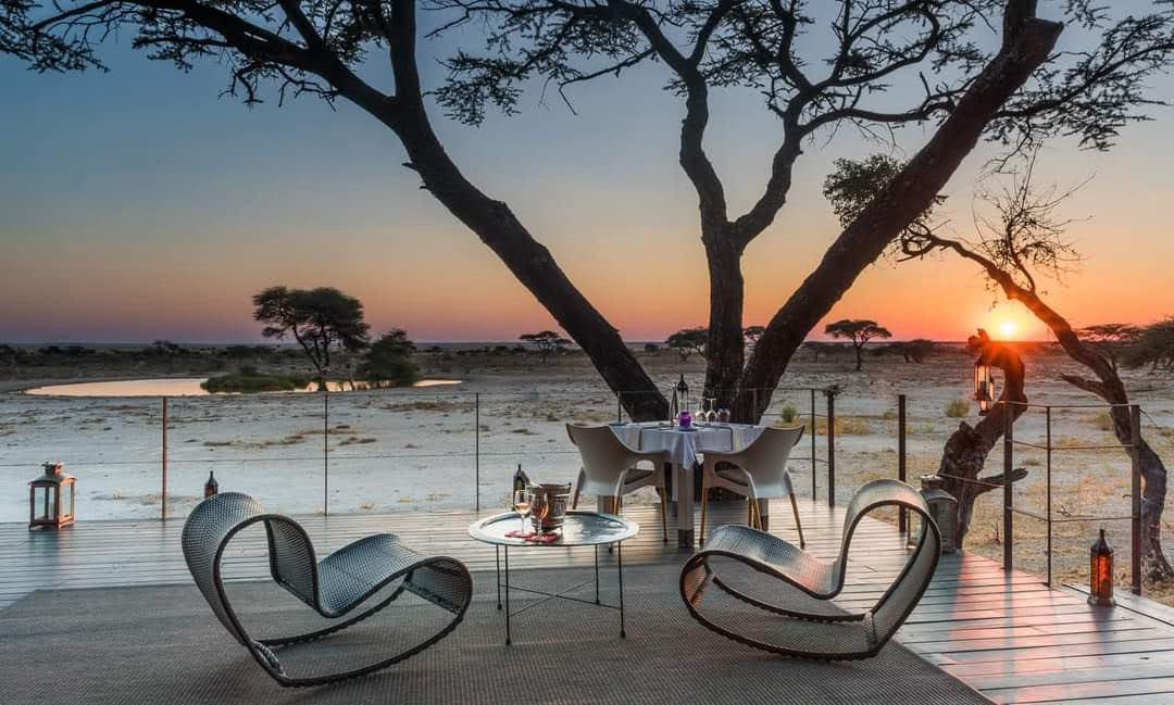 Guinea Fowl Tours and Safaris travel photo