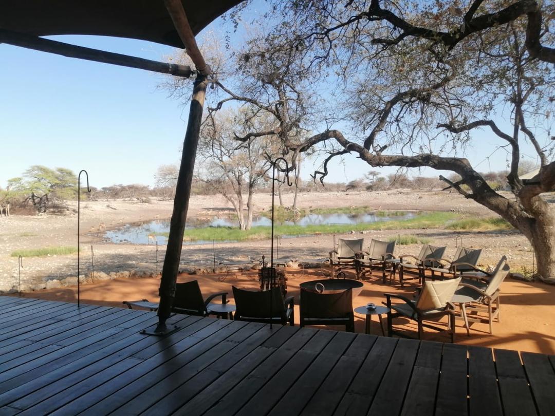 Guinea Fowl Tours and Safaris travel photo