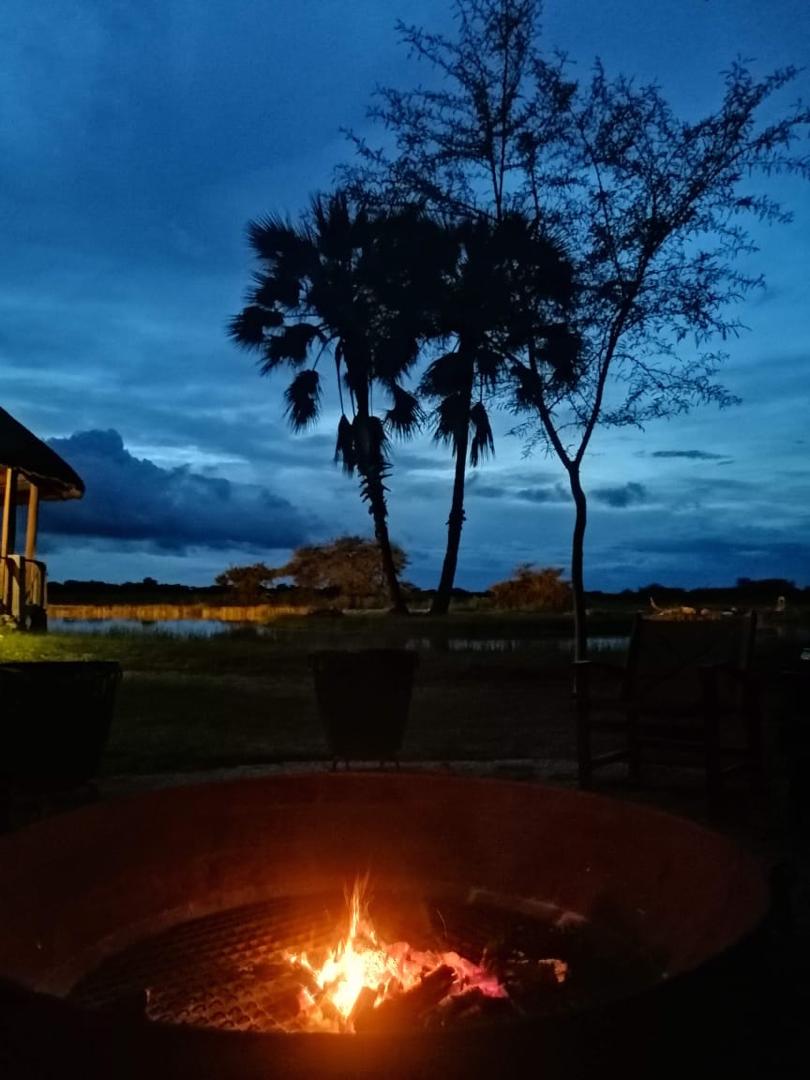Guinea Fowl Tours and Safaris travel photo