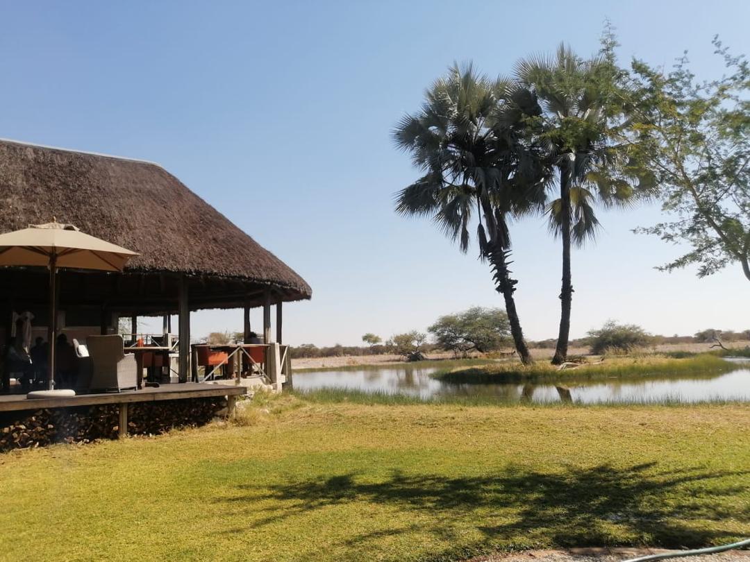 Guinea Fowl Tours and Safaris travel photo