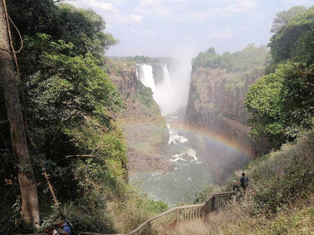 Guinea Fowl Tours and Safaris travel photo