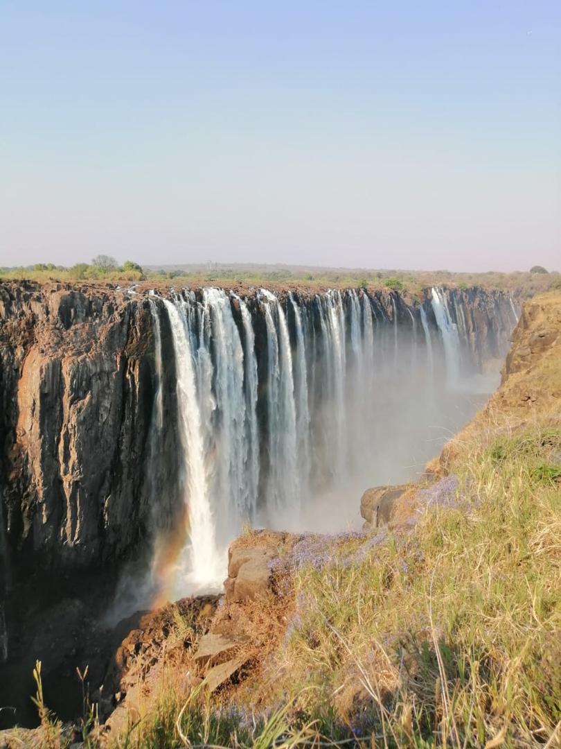 Guinea Fowl Tours and Safaris travel photo